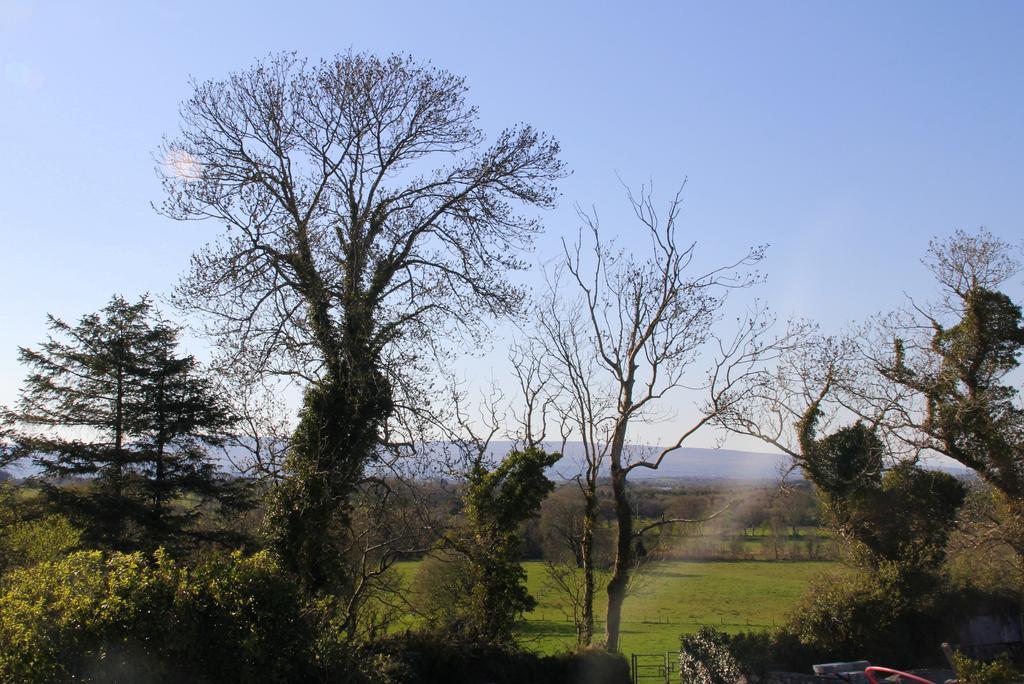 Woodview House Bed And Breakfast Ballinrobe Exterior photo